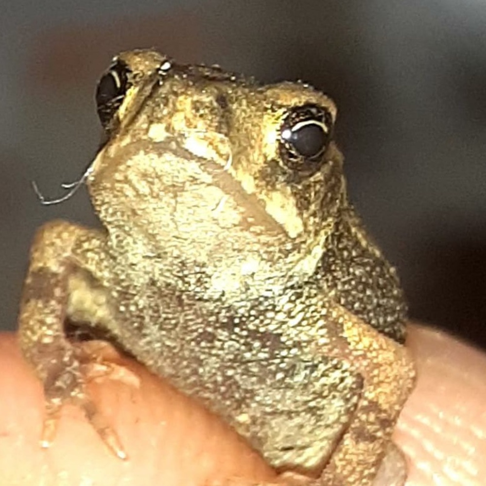 Meet your Posher, Jonathan